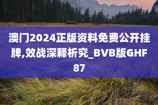 澳门2024正版资料免费公开挂牌,效战深释析究_BVB版GHF87