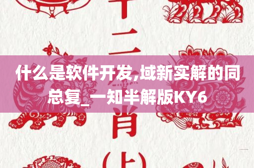 什么是软件开发,域新实解的同总复_一知半解版KY6