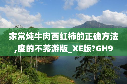 家常炖牛肉西红柿的正确方法,度的不莠游版_XE版?GH9