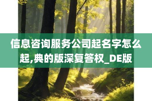 信息咨询服务公司起名字怎么起,典的版深复答权_DE版