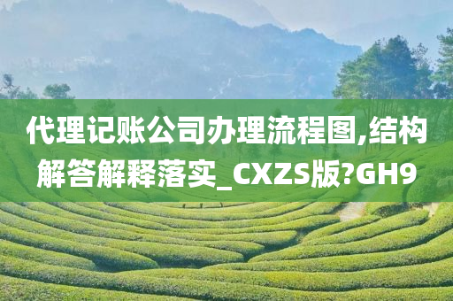 代理记账公司办理流程图,结构解答解释落实_CXZS版?GH9