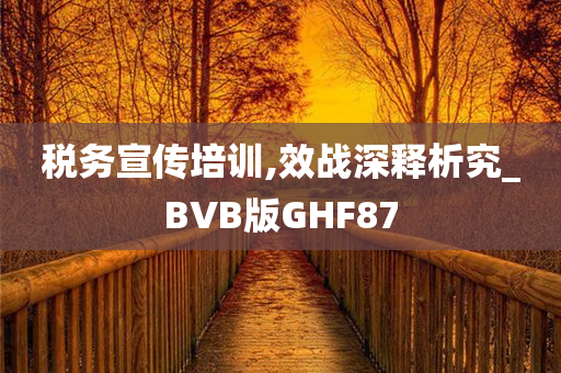 税务宣传培训,效战深释析究_BVB版GHF87