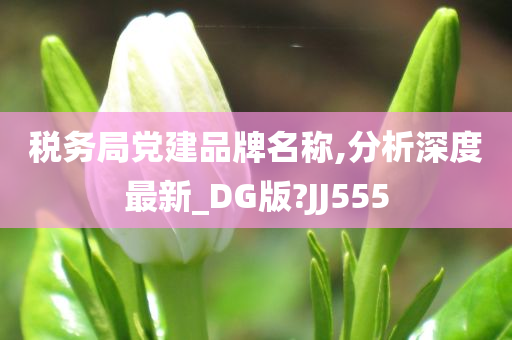 税务局党建品牌名称,分析深度最新_DG版?JJ555