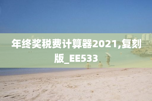 年终奖税费计算器2021,复刻版_EE533