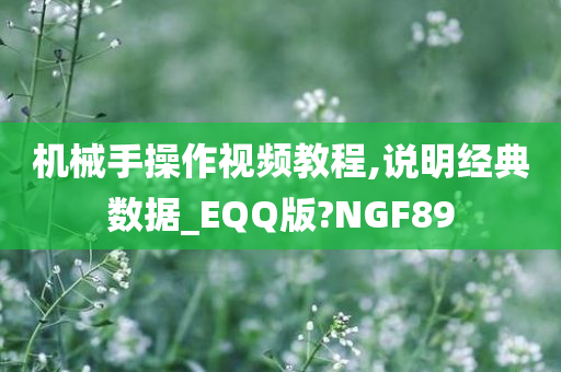 机械手操作视频教程,说明经典数据_EQQ版?NGF89