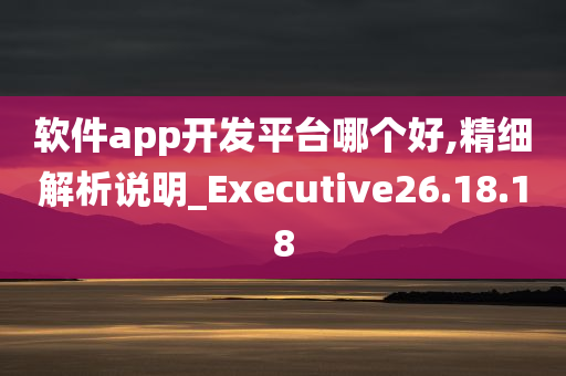 软件app开发平台哪个好,精细解析说明_Executive26.18.18