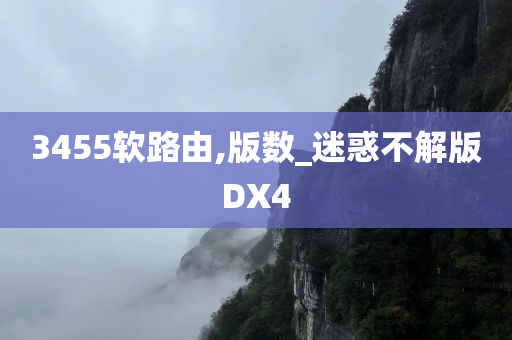 3455软路由,版数_迷惑不解版DX4