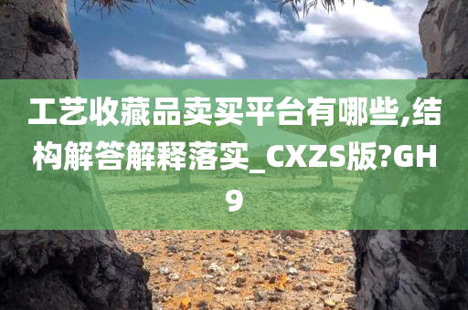 工艺收藏品卖买平台有哪些,结构解答解释落实_CXZS版?GH9