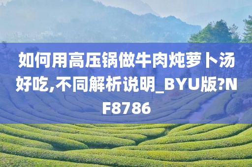 如何用高压锅做牛肉炖萝卜汤好吃,不同解析说明_BYU版?NF8786