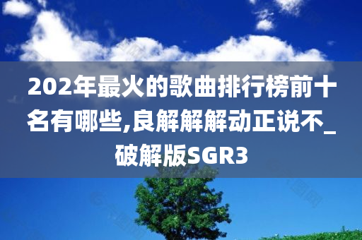 202年最火的歌曲排行榜前十名有哪些,良解解解动正说不_破解版SGR3