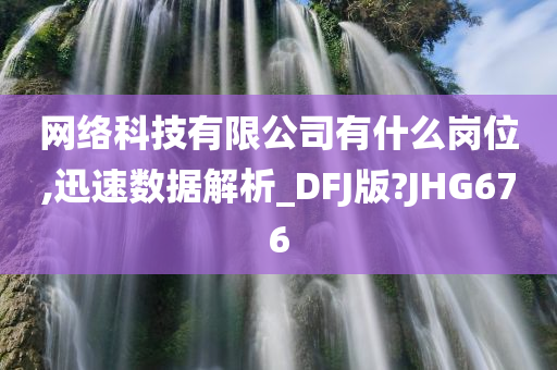 网络科技有限公司有什么岗位,迅速数据解析_DFJ版?JHG676