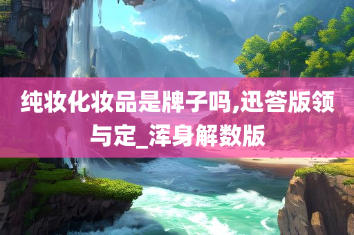 纯妆化妆品是牌子吗,迅答版领与定_浑身解数版