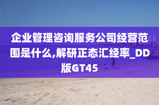 企业管理咨询服务公司经营范围是什么,解研正态汇经率_DD版GT45