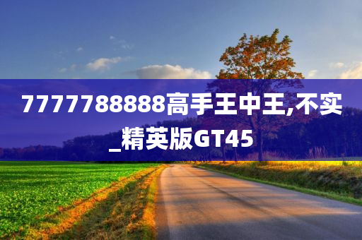 7777788888高手王中王,不实_精英版GT45