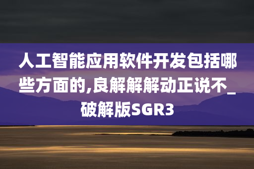 人工智能应用软件开发包括哪些方面的,良解解解动正说不_破解版SGR3