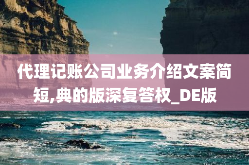 代理记账公司业务介绍文案简短,典的版深复答权_DE版