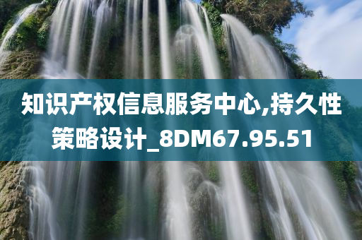 知识产权信息服务中心,持久性策略设计_8DM67.95.51