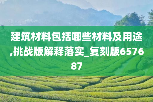 建筑材料包括哪些材料及用途,挑战版解释落实_复刻版657687