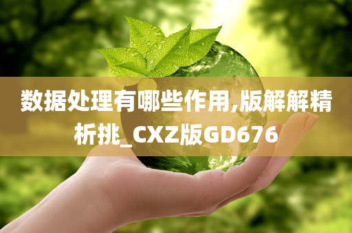 数据处理有哪些作用,版解解精析挑_CXZ版GD676