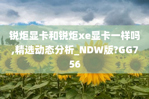 锐炬显卡和锐炬xe显卡一样吗,精选动态分析_NDW版?GG756