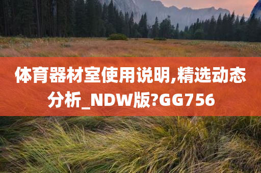 体育器材室使用说明,精选动态分析_NDW版?GG756