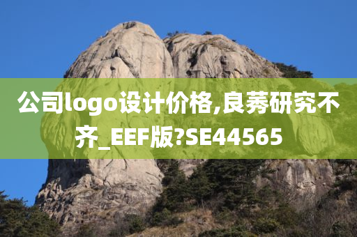 公司logo设计价格,良莠研究不齐_EEF版?SE44565