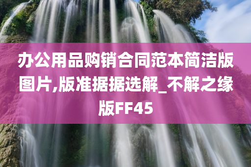 办公用品购销合同范本简洁版图片,版准据据选解_不解之缘版FF45