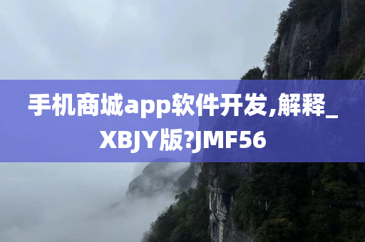 手机商城app软件开发,解释_XBJY版?JMF56