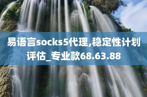 易语言socks5代理,稳定性计划评估_专业款68.63.88