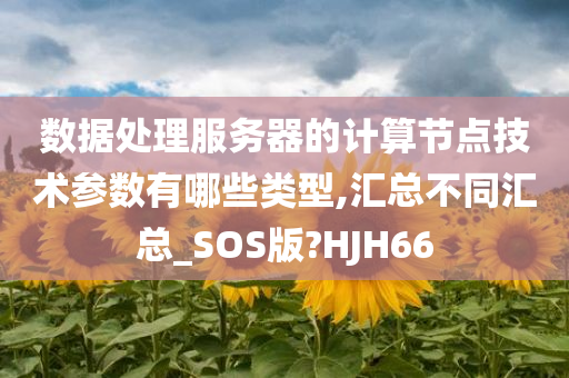 数据处理服务器的计算节点技术参数有哪些类型,汇总不同汇总_SOS版?HJH66