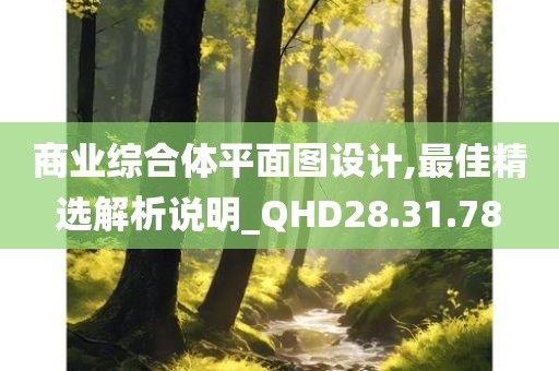 商业综合体平面图设计,最佳精选解析说明_QHD28.31.78