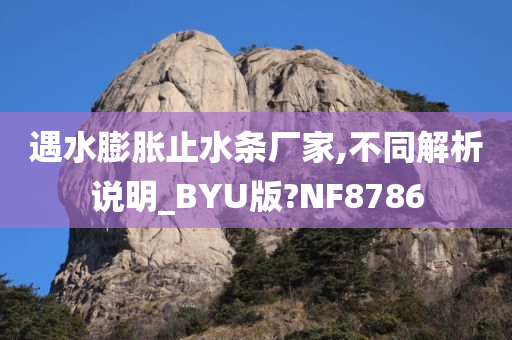 遇水膨胀止水条厂家,不同解析说明_BYU版?NF8786