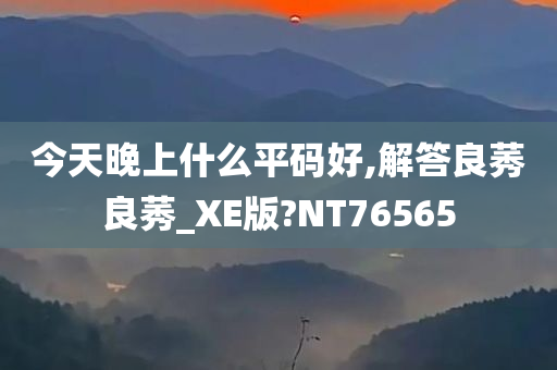 今天晚上什么平码好,解答良莠良莠_XE版?NT76565