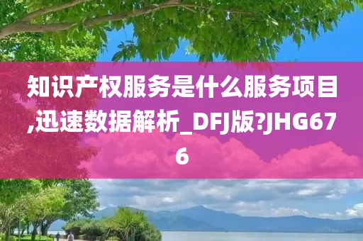 知识产权服务是什么服务项目,迅速数据解析_DFJ版?JHG676