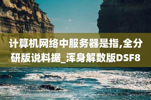 计算机网络中服务器是指,全分研版说料据_浑身解数版DSF8