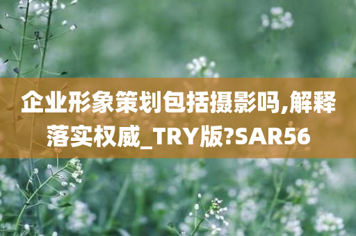 企业形象策划包括摄影吗,解释落实权威_TRY版?SAR56