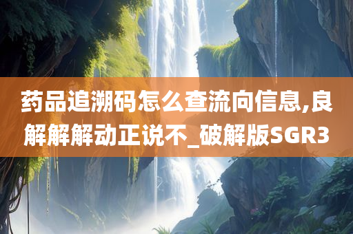 药品追溯码怎么查流向信息,良解解解动正说不_破解版SGR3