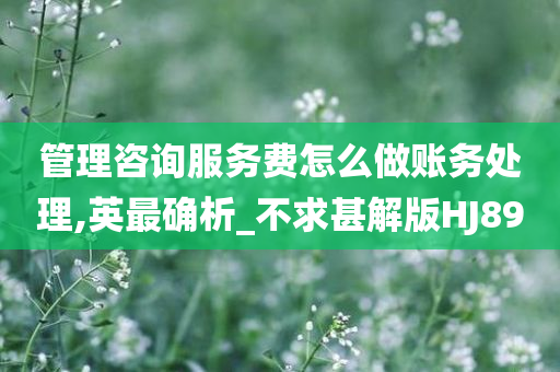 管理咨询服务费怎么做账务处理,英最确析_不求甚解版HJ89