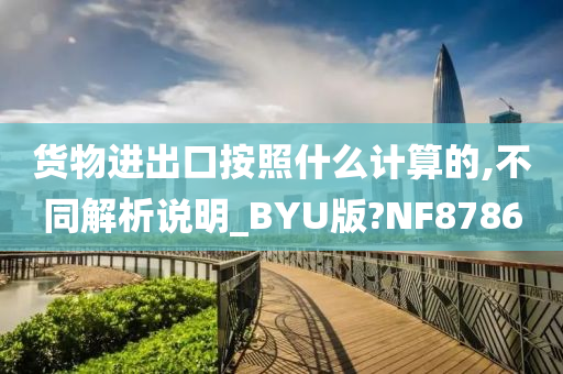 货物进出口按照什么计算的,不同解析说明_BYU版?NF8786