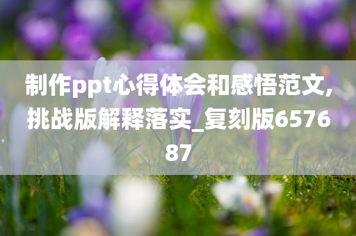 制作ppt心得体会和感悟范文,挑战版解释落实_复刻版657687