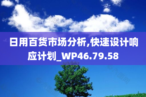 日用百货市场分析,快速设计响应计划_WP46.79.58