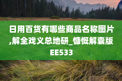 日用百货有哪些商品名称图片,解全戏义总地研_慷慨解囊版EE533