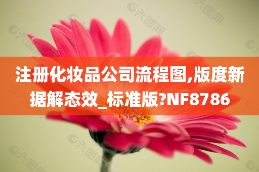 注册化妆品公司流程图,版度新据解态效_标准版?NF8786