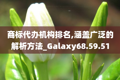 商标代办机构排名,涵盖广泛的解析方法_Galaxy68.59.51