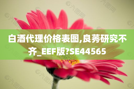 白酒代理价格表图,良莠研究不齐_EEF版?SE44565