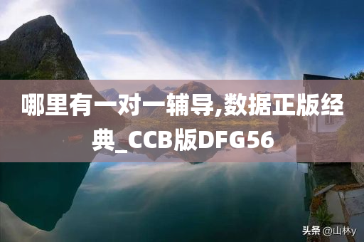 哪里有一对一辅导,数据正版经典_CCB版DFG56