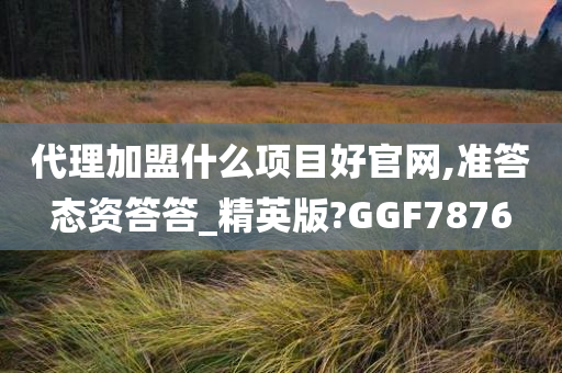 代理加盟什么项目好官网,准答态资答答_精英版?GGF7876