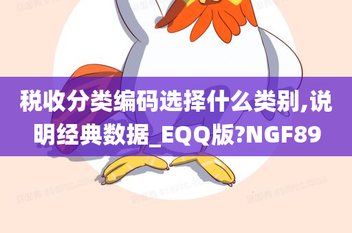 税收分类编码选择什么类别,说明经典数据_EQQ版?NGF89