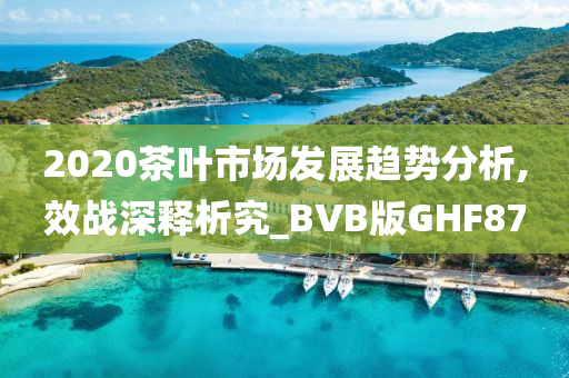 2020茶叶市场发展趋势分析,效战深释析究_BVB版GHF87