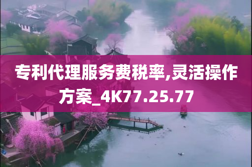 专利代理服务费税率,灵活操作方案_4K77.25.77